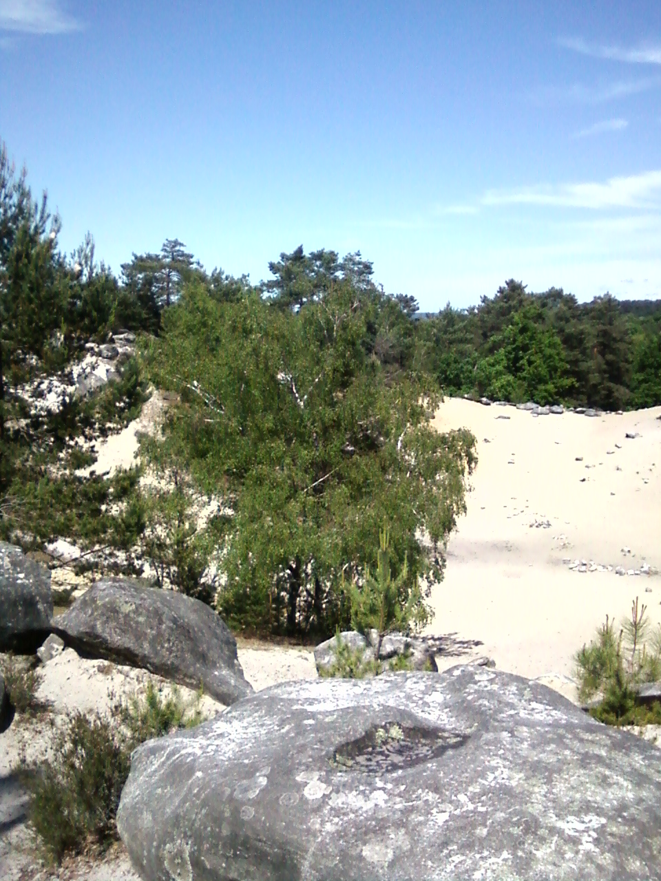 Fontainebleau